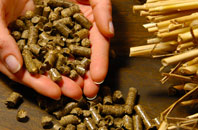 free Bray Shop biomass boiler quotes